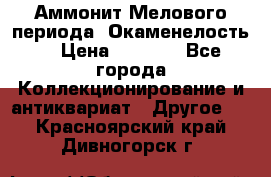 Аммонит Мелового периода. Окаменелость. › Цена ­ 2 800 - Все города Коллекционирование и антиквариат » Другое   . Красноярский край,Дивногорск г.